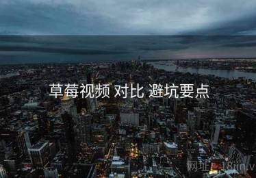 草莓视频 对比 避坑要点