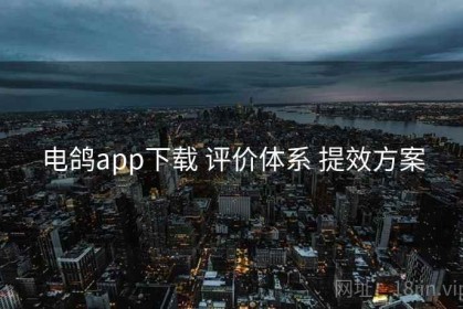 电鸽app下载 评价体系 提效方案
