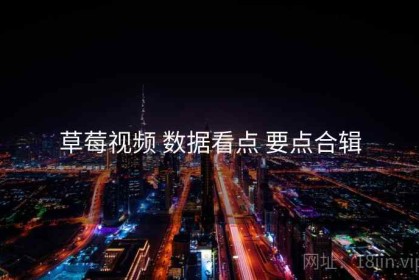 草莓视频 数据看点 要点合辑