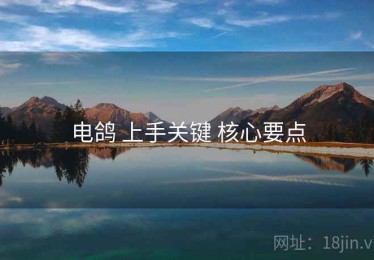电鸽 上手关键 核心要点