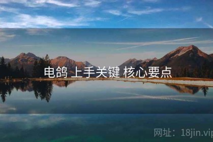 电鸽 上手关键 核心要点