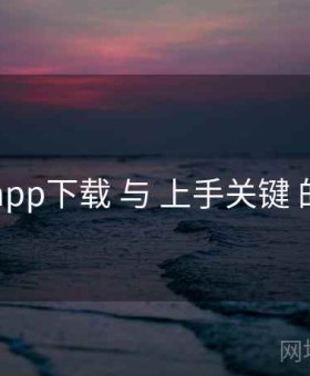 电鸽app下载 与 上手关键 的协同