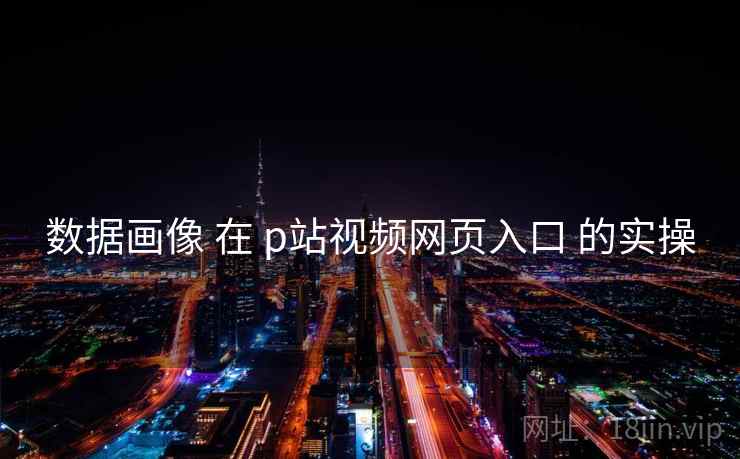 数据画像 在 p站视频网页入口 的实操
