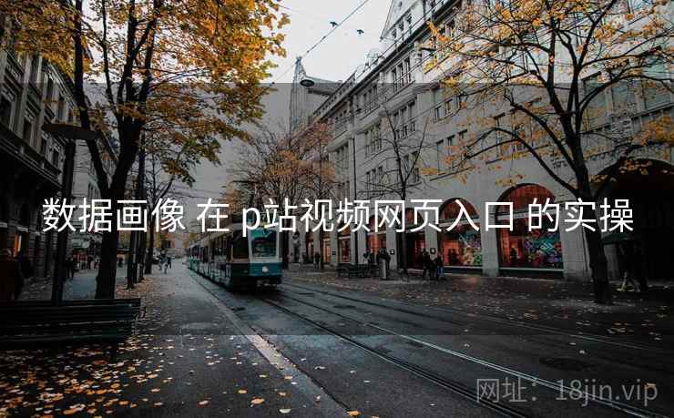 数据画像 在 p站视频网页入口 的实操
