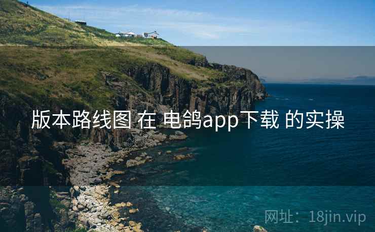 版本路线图 在 电鸽app下载 的实操