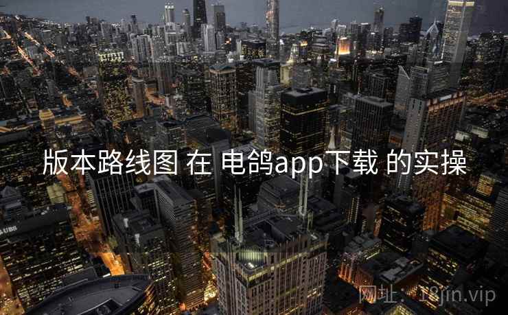 版本路线图 在 电鸽app下载 的实操