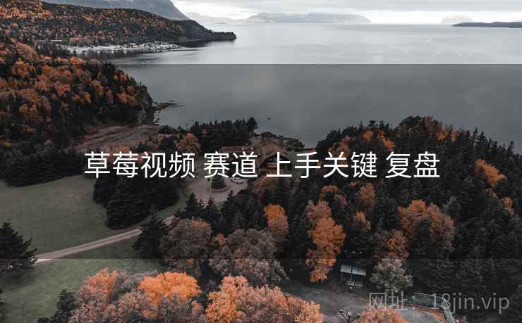 草莓视频 赛道 上手关键 复盘
