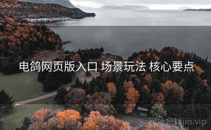电鸽网页版入口 场景玩法 核心要点