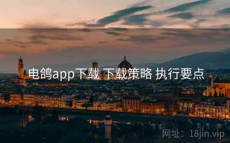 电鸽app下载 下载策略 执行要点