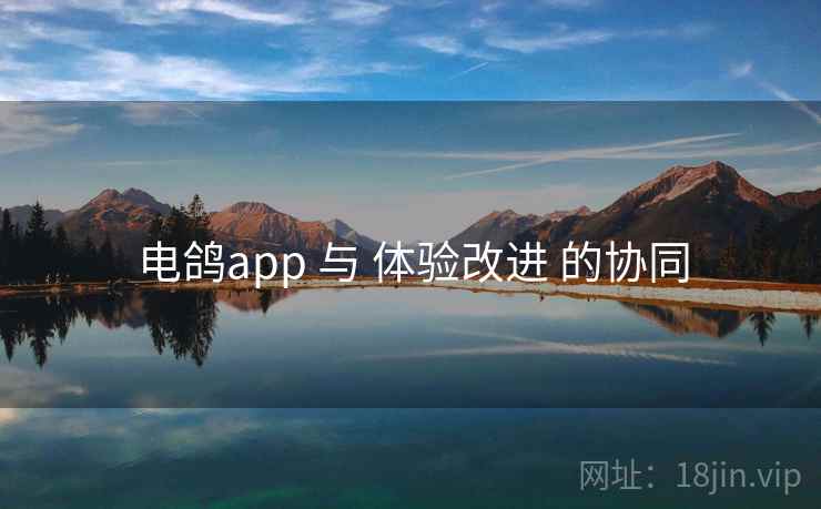 电鸽app 与 体验改进 的协同