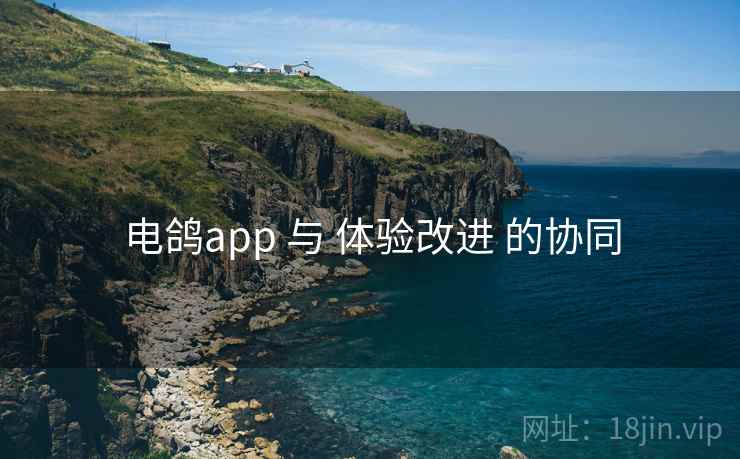 电鸽app 与 体验改进 的协同