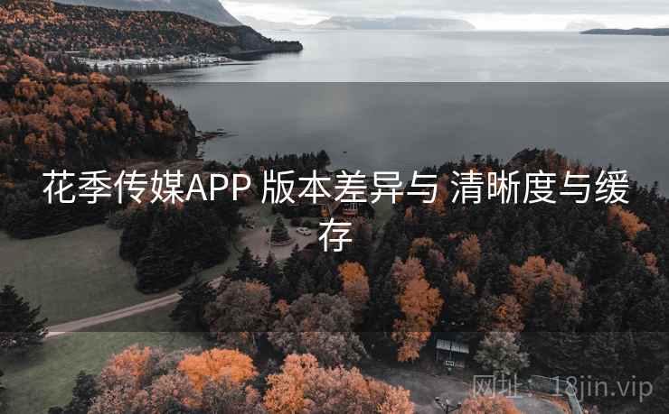 花季传媒APP 版本差异与 清晰度与缓存