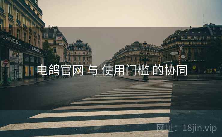 电鸽官网 与 使用门槛 的协同