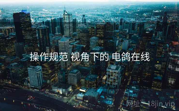 操作规范 视角下的 电鸽在线