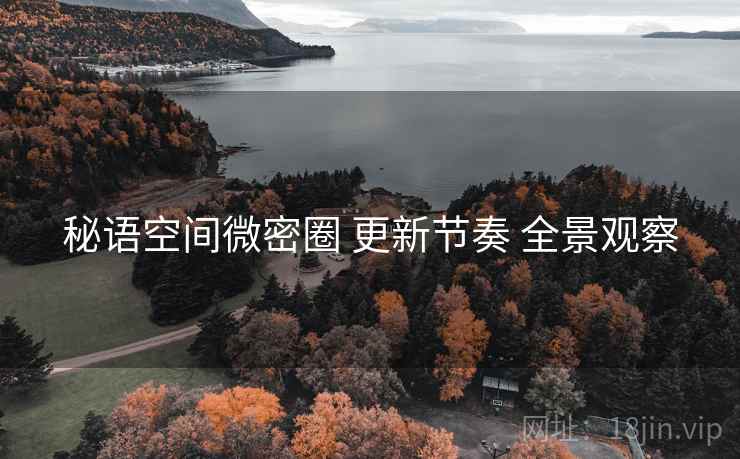 秘语空间微密圈 更新节奏 全景观察
