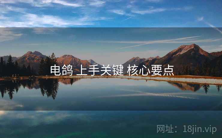 电鸽 上手关键 核心要点