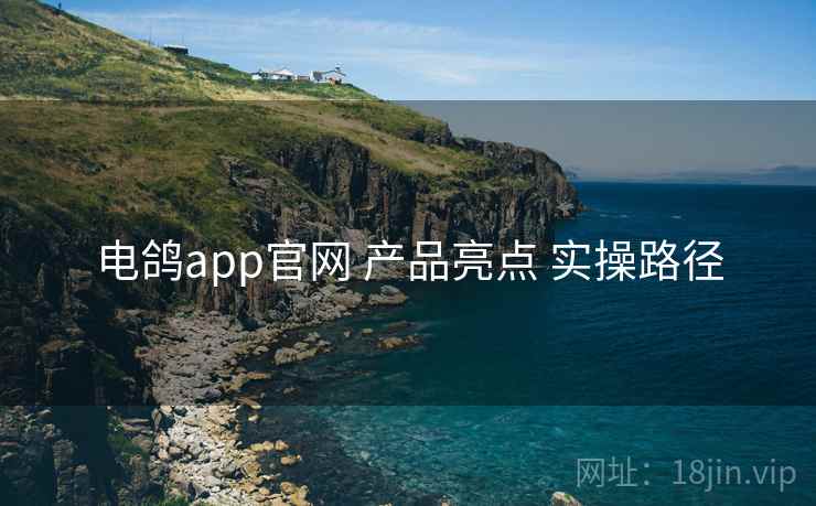 电鸽app官网 产品亮点 实操路径