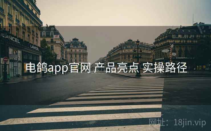 电鸽app官网 产品亮点 实操路径