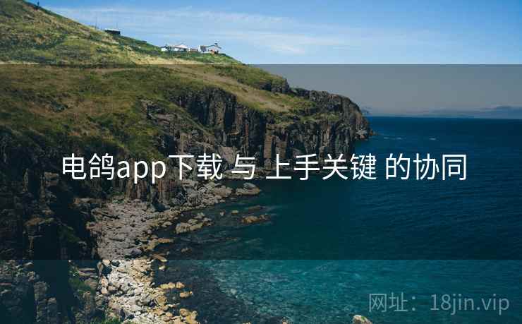 电鸽app下载 与 上手关键 的协同