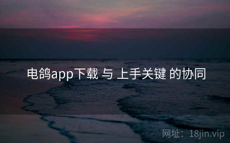 电鸽app下载 与 上手关键 的协同