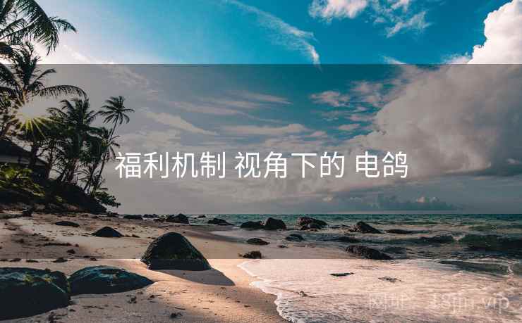 福利机制 视角下的 电鸽
