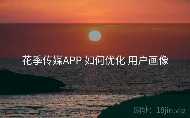花季传媒APP 如何优化 用户画像