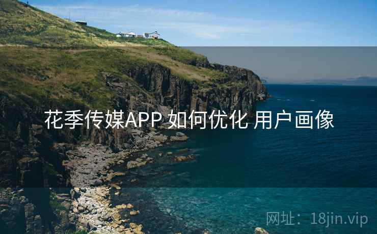 花季传媒APP 如何优化 用户画像