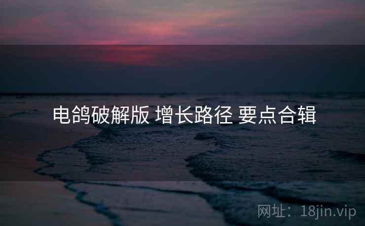 电鸽破解版 增长路径 要点合辑