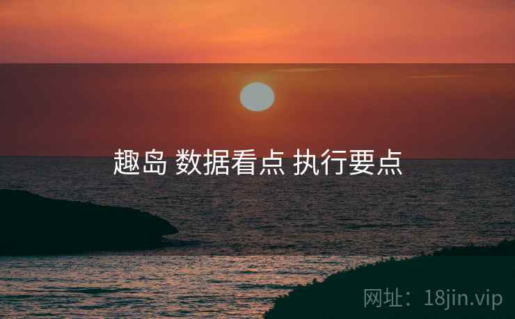 趣岛 数据看点 执行要点