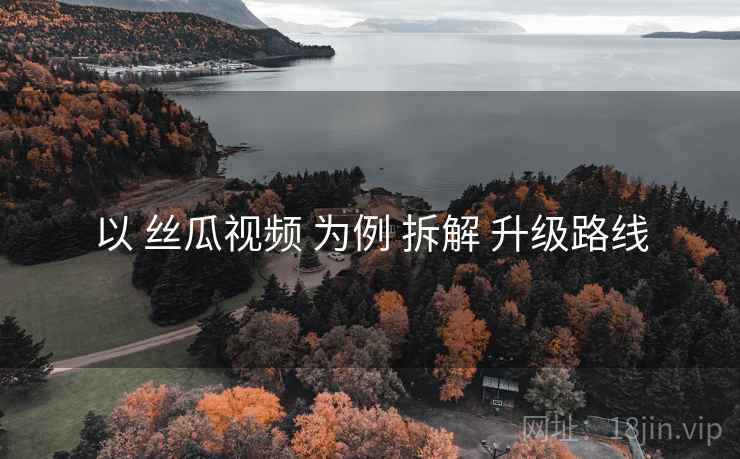 以 丝瓜视频 为例 拆解 升级路线