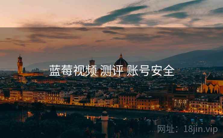 蓝莓视频 测评 账号安全