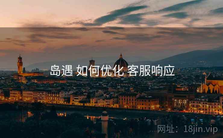 岛遇 如何优化 客服响应