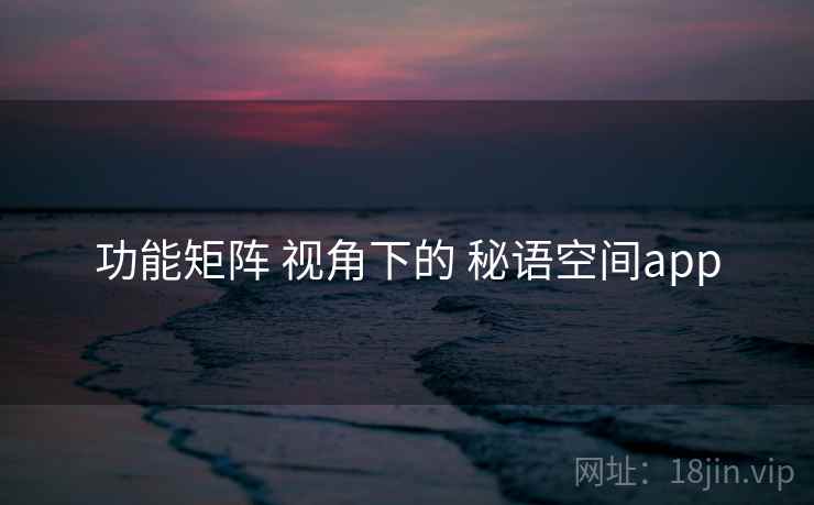 功能矩阵 视角下的 秘语空间app
