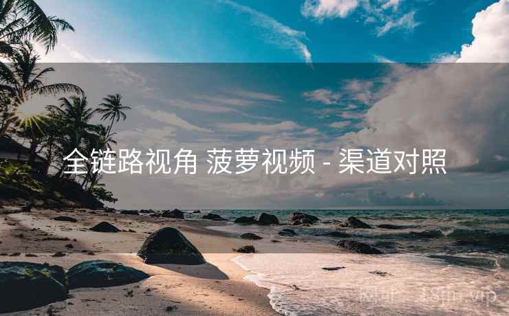 全链路视角 菠萝视频 - 渠道对照