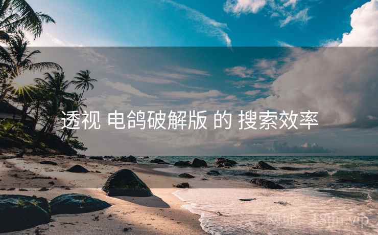 透视 电鸽破解版 的 搜索效率