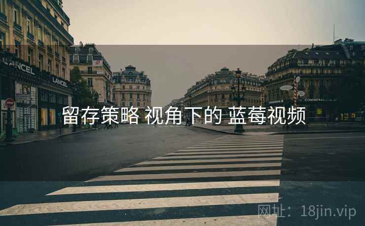 留存策略 视角下的 蓝莓视频