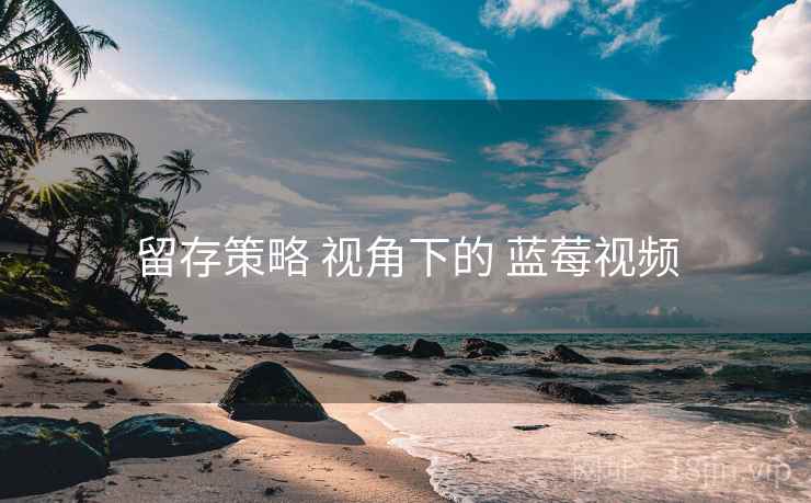留存策略 视角下的 蓝莓视频