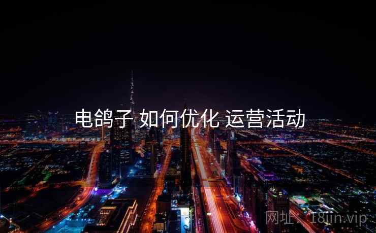 电鸽子 如何优化 运营活动