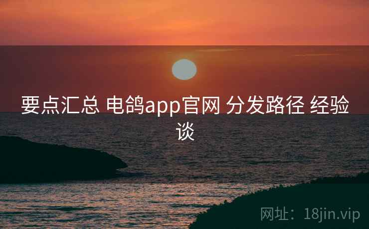 要点汇总 电鸽app官网 分发路径 经验谈