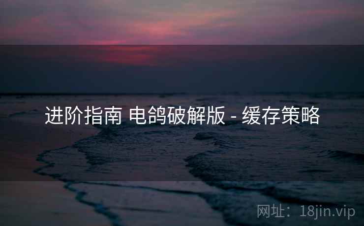 进阶指南 电鸽破解版 - 缓存策略