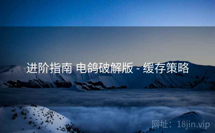 进阶指南 电鸽破解版 - 缓存策略