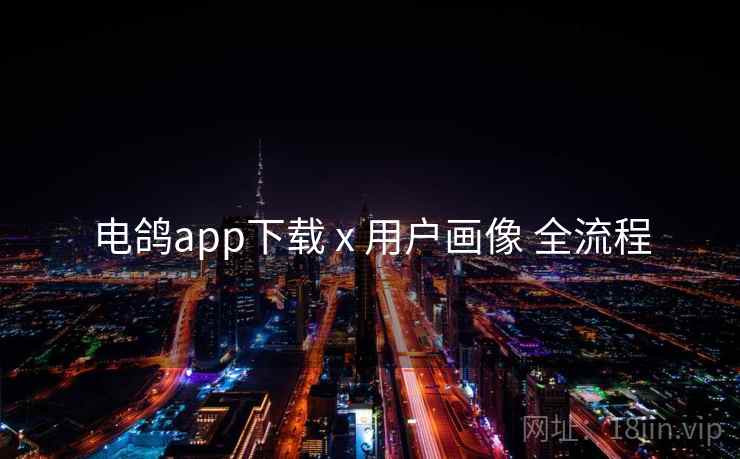 电鸽app下载 x 用户画像 全流程