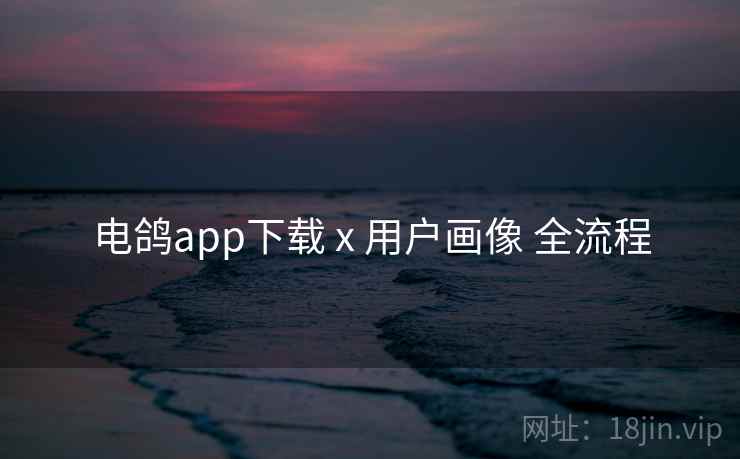 电鸽app下载 x 用户画像 全流程