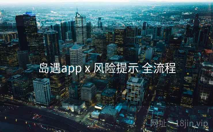 岛遇app x 风险提示 全流程