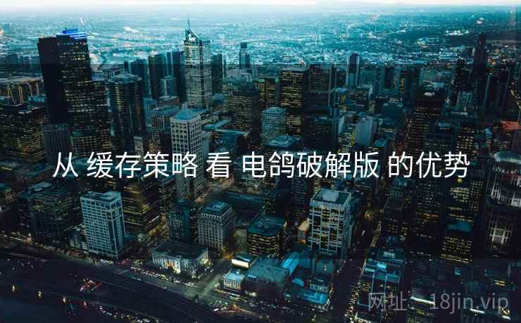 从 缓存策略 看 电鸽破解版 的优势