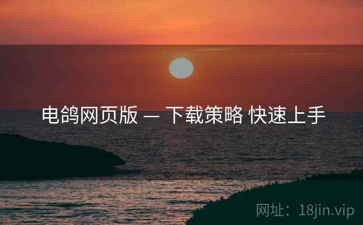 电鸽网页版 — 下载策略 快速上手