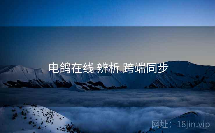 电鸽在线 辨析 跨端同步