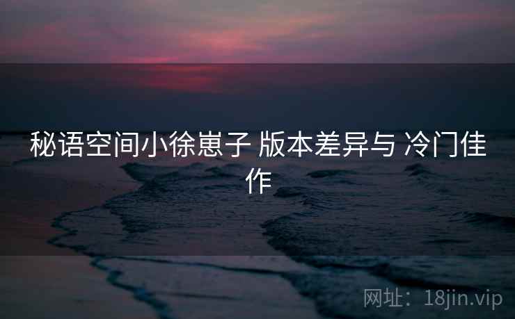 秘语空间小徐崽子 版本差异与 冷门佳作