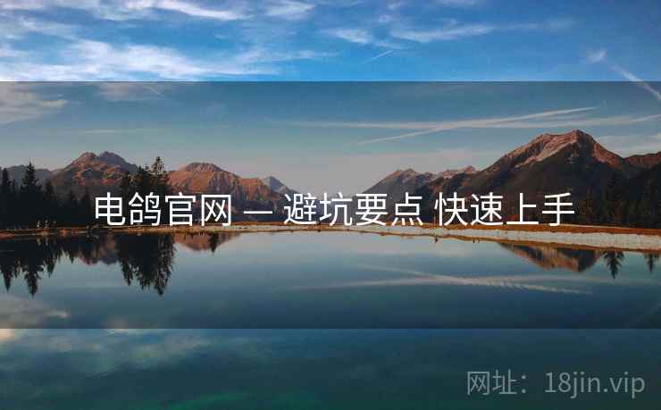 电鸽官网 — 避坑要点 快速上手