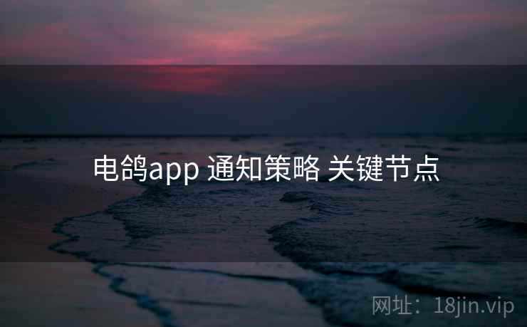 电鸽app 通知策略 关键节点